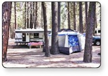 Enjoy getting back to nature at Guest First RV Resorts.